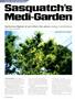 Page: - 24 | High Times