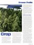 Page: - 29 | High Times
