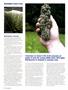 Page: - 34 | High Times