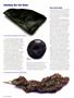 Page: - 58 | High Times