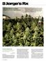 Page: - 72 | High Times