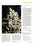 Page: - 73 | High Times