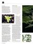 Page: - 74 | High Times