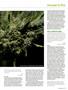 Page: - 75 | High Times