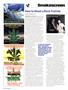 Page: - 96 | High Times