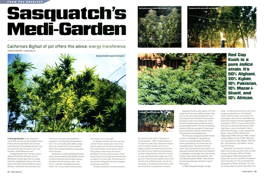 Sasquatch’s Medi-Garden