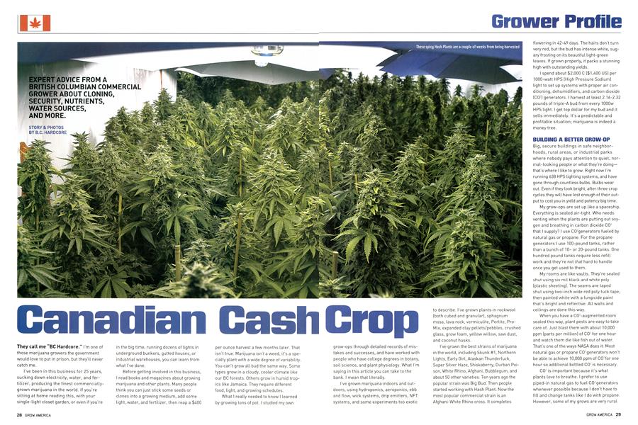 Canadian Cash Crop