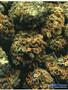 Page: - 45 | High Times