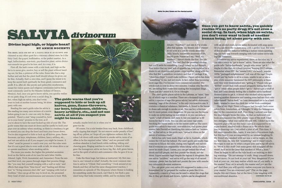 SALVIA divinorum