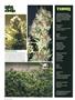 Page: - 20 | High Times
