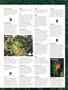 Page: - 27 | High Times