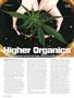 Page: - 46 | High Times