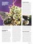 Page: - 47 | High Times