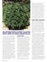 Page: - 48 | High Times