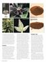 Page: - 50 | High Times