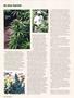 Page: - 58 | High Times