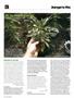 Page: - 70 | High Times