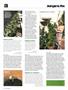Page: - 74 | High Times