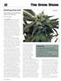 Page: - 90 | High Times
