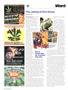 Page: - 96 | High Times