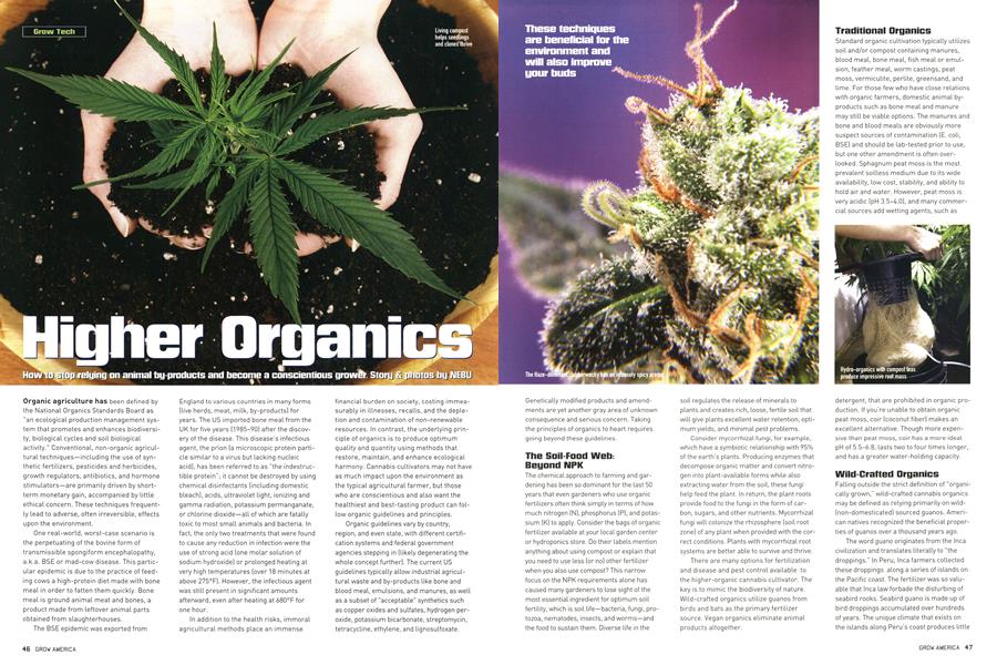 Higher Organics