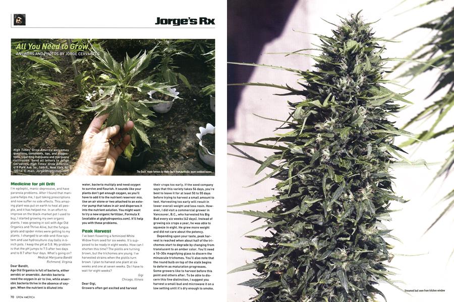 All You Need to Grow