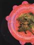 Page: - 44 | High Times