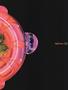 Page: - 45 | High Times