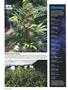 Page: - 20 | High Times