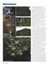 Page: - 36 | High Times