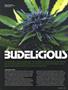 Page: - 53 | High Times