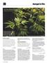 Page: - 74 | High Times