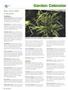 Page: - 80 | High Times
