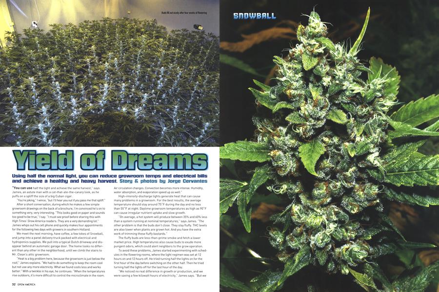 Yield of Dreams