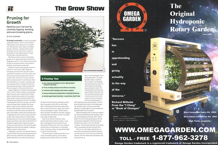 Pruning for Growth