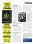 Page: - 10 | High Times