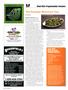 Page: - 100 | High Times