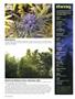 Page: - 20 | High Times
