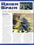 Page: - 31 | High Times