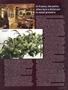 Page: - 45 | High Times