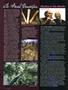 Page: - 46 | High Times