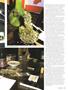 Page: - 49 | High Times