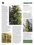 Page: - 78 | High Times