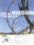Page: - 82 | High Times