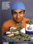 Page: - 99 | High Times