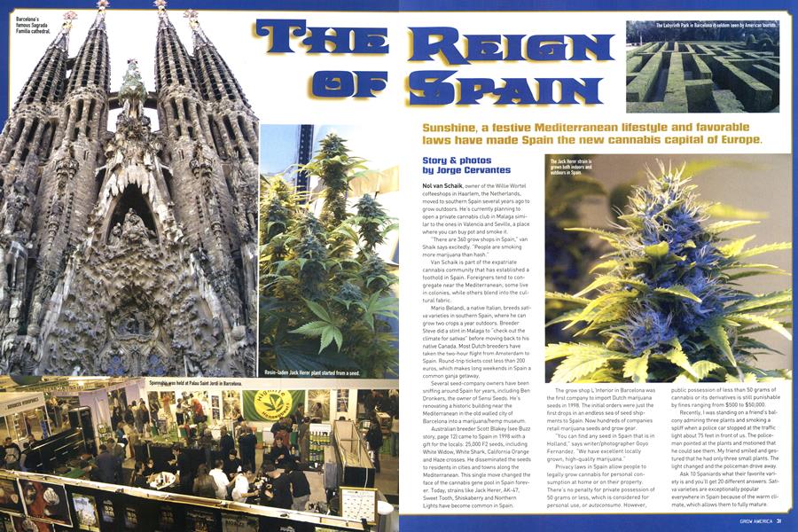 THE REIGN OF SPAIN