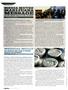Page: - 30 | High Times
