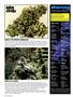 Page: - 20 | High Times