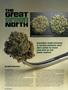 Page: - 24 | High Times