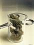 Page: - 25 | High Times